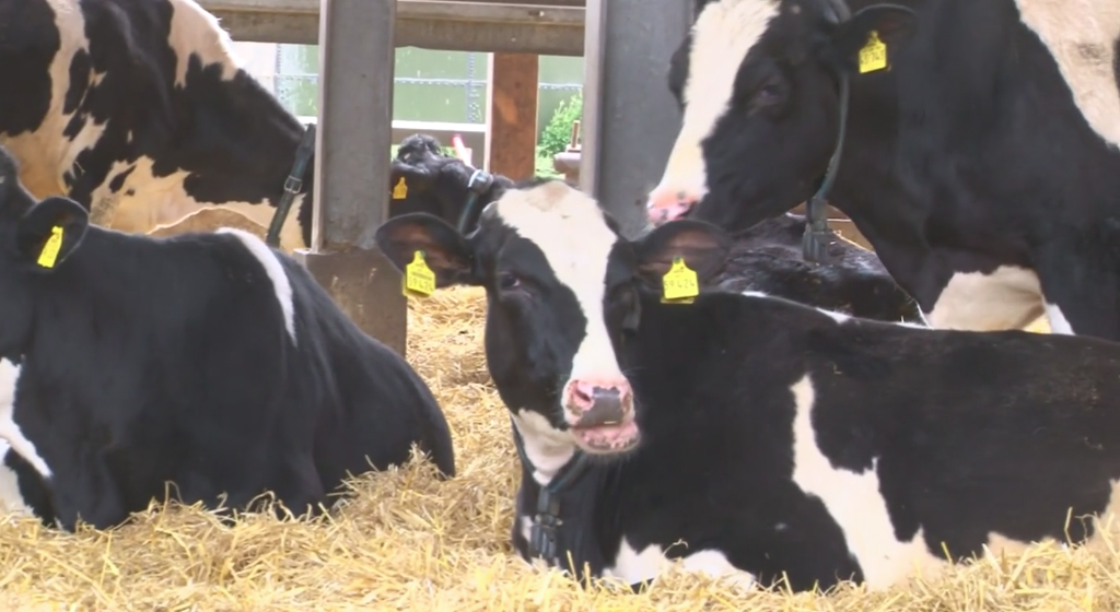IoT growing in agriculture, despite rural broadband challenges IoT growing in agriculture, despite rural broadband challenges