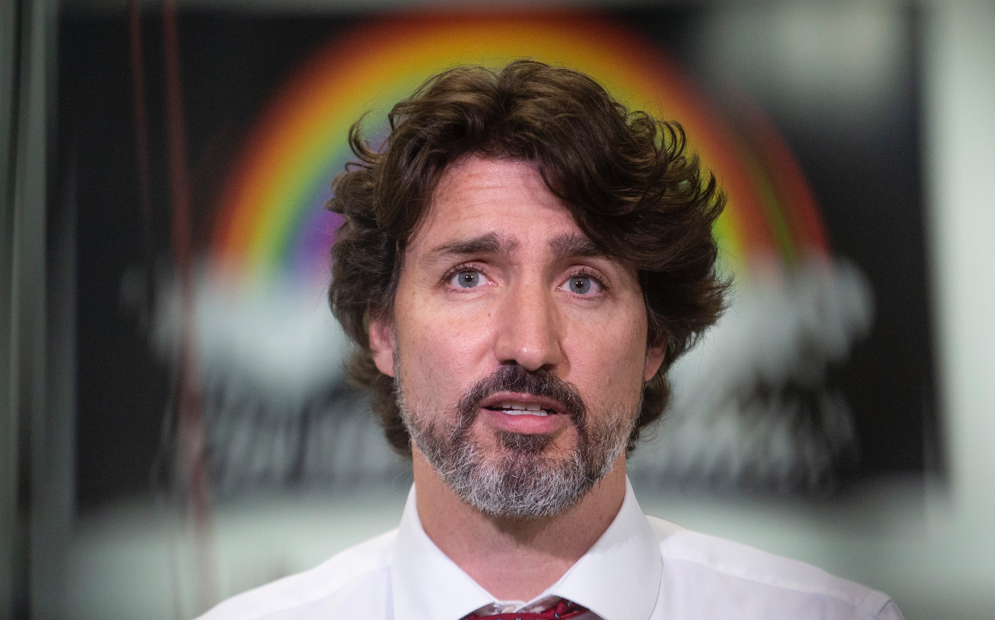 Privacy commissioner hasn't approved new gov't contact tracing app
